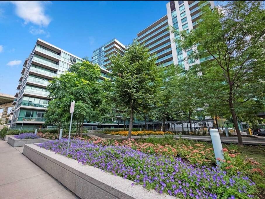 Cn Tower View With Free Parking, Pool, & More Amenities Торонто Екстер'єр фото